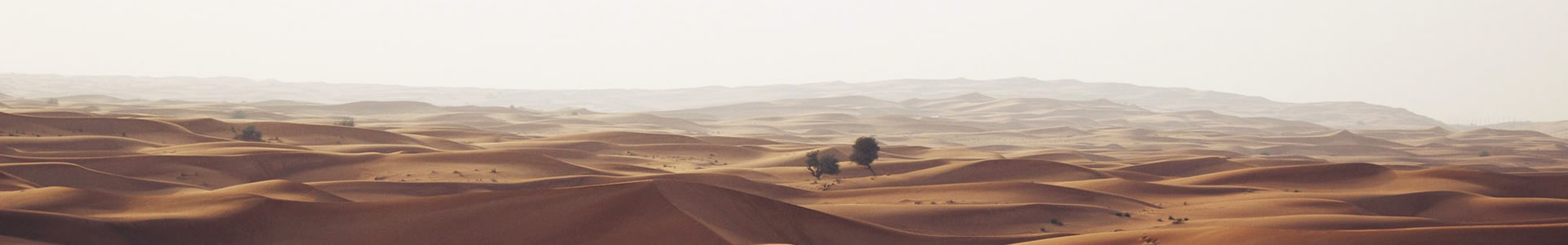 ɽθܿƼ޹˾